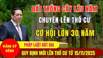 Quy Định Chuyển Đổi Đất Trồng Cây Lâu Năm Lên Thổ Cư Mới Nhất Từ Ngày 15/11/2025