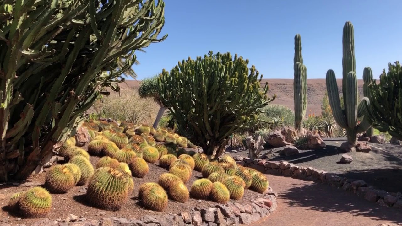 Fuerteventura, Canary Islands, Spain, Winter sun holiday,  02/2019