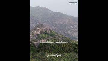 {وَأَمَّا مَنْ خَافَ مَقَامَ رَبِّهِ القارئ اسلام صبحي بتلاوة رائعة من سورة النازعات #قرآن #تلاوة
