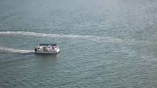 Dolphins in the Estuary in Mandurah Perth Australia