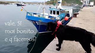 Cudillero - Mar Cantábrico