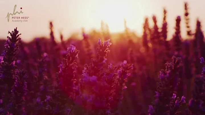 Klangmeditation an die USA, von Gina Armstrong (PH...