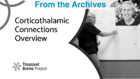 2024/07 - Corticothalamic Connections Overview
