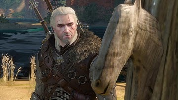 The Witcher 3: Wild Hunt - mfw i find a fast travel sign