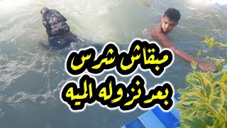 اختفت شراسه فى الكلاب الرووت / لما نزلوا المسبح ( خافوا من الميه )