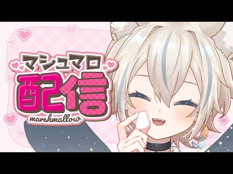 【 マシュマロ雑談 】初めてのマシュマロもぐもぐ【 #せうくんのあそびば / 天使セウ 】