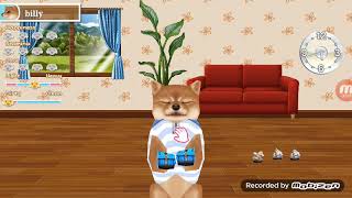 Jogando my dog Style screenshot 4