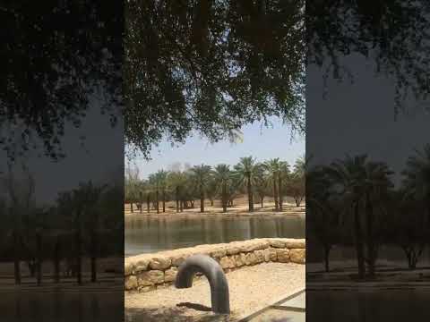 نزهه في وادي حنيفا في الرياض