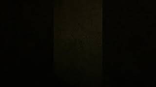 Update on 3rd Drug test, Qcarbo 20 works but Part 3