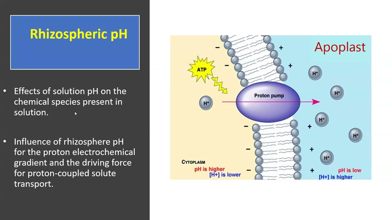 Factor affecting short distance transport-1