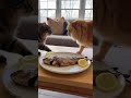 🤣 “POV: When You Blink and It’s Gone” 🐟 #FunnyAnimals #CatVsDog#UnexpectedMoment #Shorts #Viral