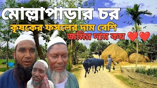 মনকগঞজর মললপড চর জম দম কম ফসলর দম বশ Village Life