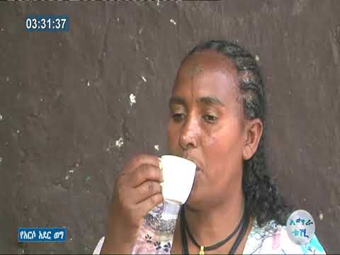 የአርሶአደር ወግ ስለ ምርቃን እና እርግማን gonderitakip