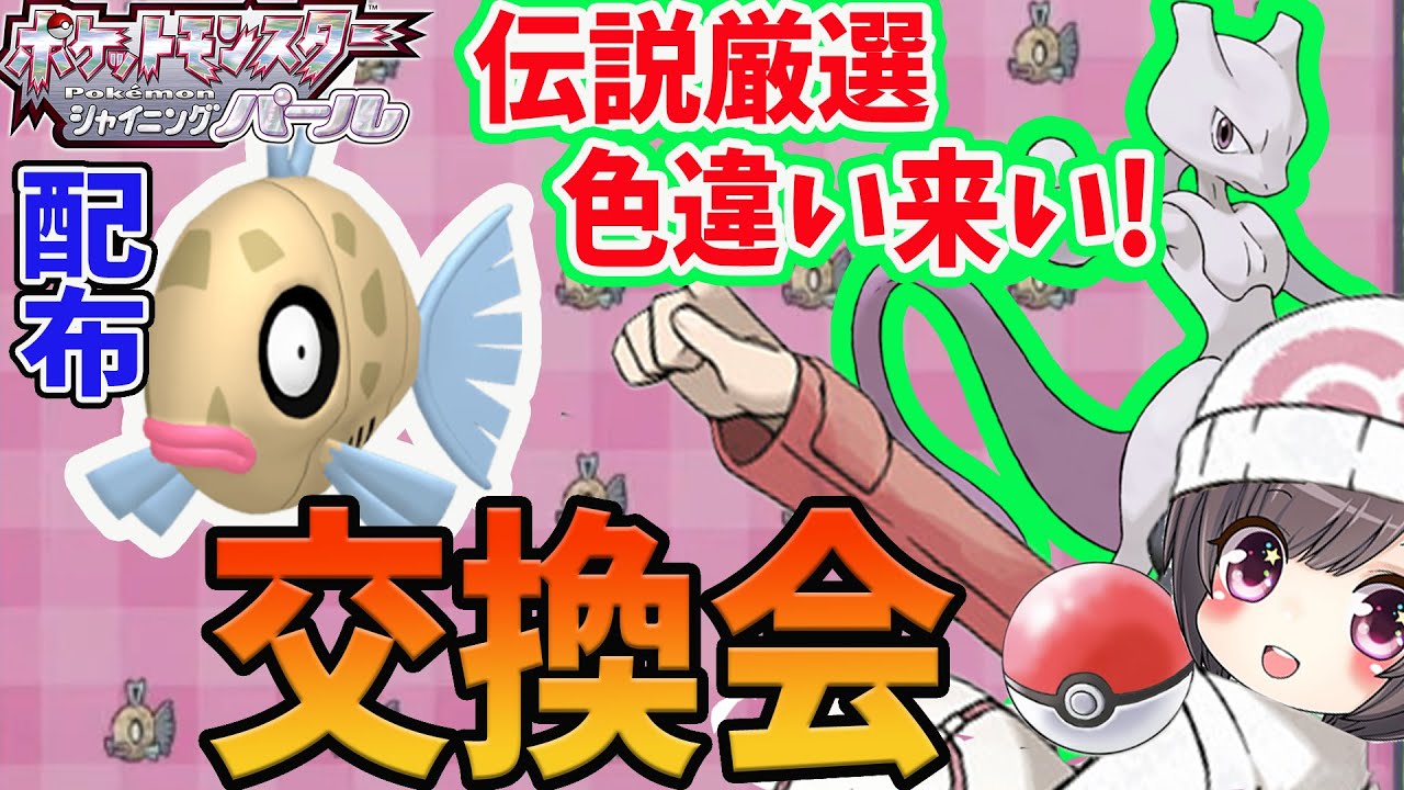 14 ポケモン ダイパリメイク 伝説捕獲 ミュウツー色違い狙い ヒンバス配布交換会 シャイニングパール Switch Youtube