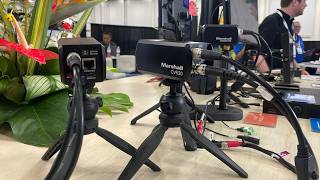 Marshall Unveils New 4K Miniature & Compact Cameras | NAB 2026