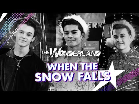 The Wonderland | When The Snow Falls | Official Music Video