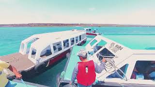 How to Fly to the Galapagos Islands: Step-by-Step Flight Guide from Quito & Guayaquil screenshot 5