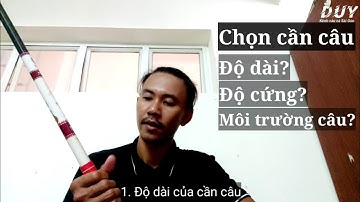 Cách chọn cần câu đơn câu Đài phù hợp nhất