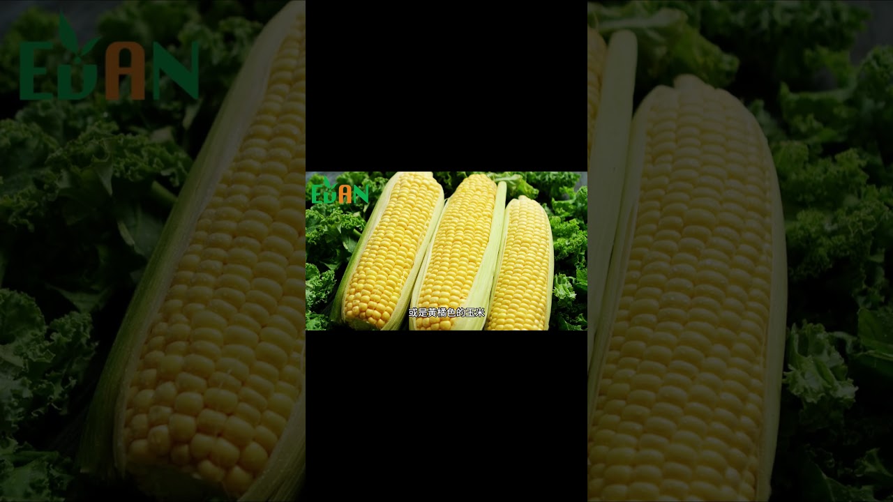 葉黃素是絕佳的護眼營養素