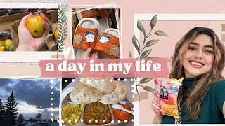 Canada Vlog🇨🇦 Desi Breakfast, Shopping, Exploring Asian Market and Movie Time!