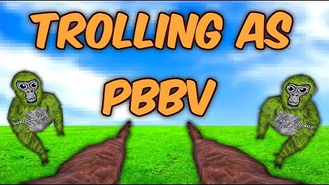 TROLLING AS PBBV IN GHOST CODES (I GET BANNED) | Gorilla Tag