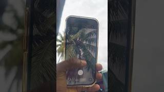 iPhone 15 camera test 😱🔥 high quality photo shoot 😱😍 #shorts #youtubeshorts#trending #viral #iphone