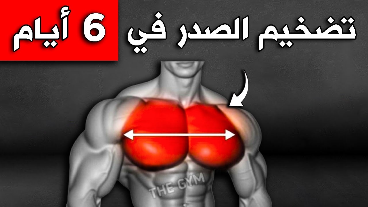 6 تمارين جبارة لتضخيم عضلات الصدر ستجعل صدرك أوسع وضخم بشكل رهيب .. (للأعمار بين 18 إلى 55)