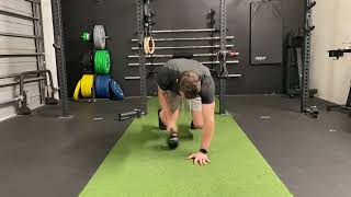 Bear Plank Pull Through