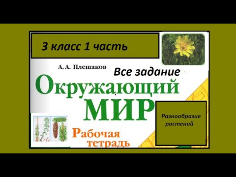 Окружающий мир 3 класс рабочая тетрадь. Разнообразие растений. Все задания