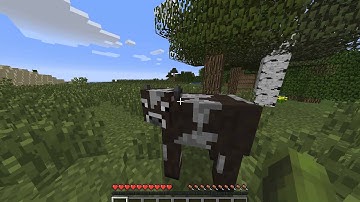 Quicktime screen recoarding test on mac (2014)