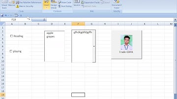 Active X Controls & Form Controls || VBA