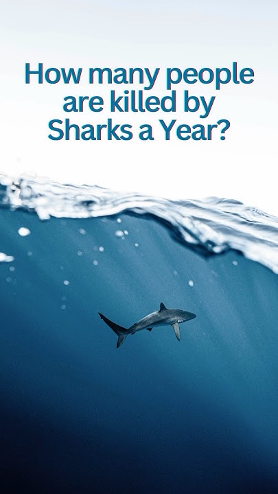How many people are killed by sharks a Year? #sharkfacts #sharkspecies