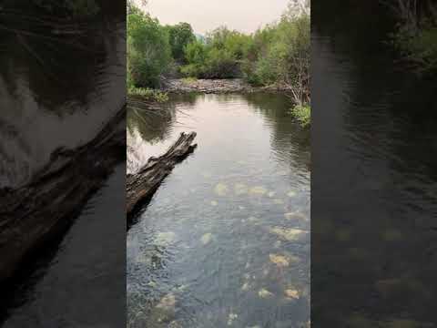 Sawmill Canyon, Idaho,