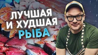 Самая полезная рыба с ОМЕГА 3 | ТОП вкусной рыбы с полезными жирами