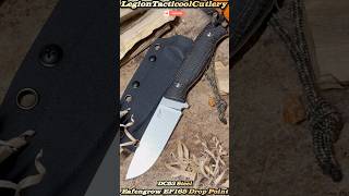 Eafengrow EF165 Drop Point in DC53 Steel