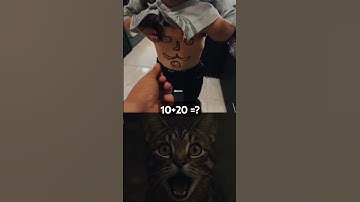 😸😸#cat #trending #funnycatmemes #funnycat #reactionvideo #entertainment
