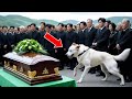 犬が吠え続けたため警官の棺が開けられた。そして衝撃の出来事が起きた！