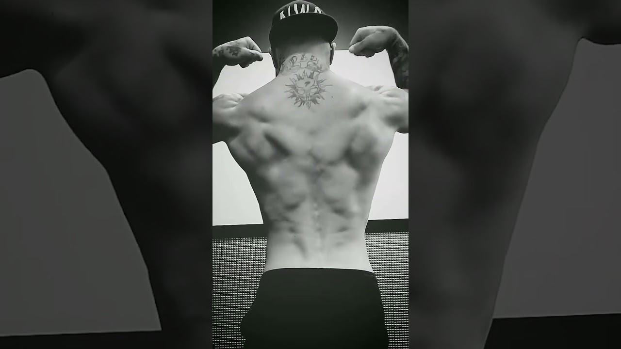 August Artois - Back Day