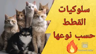 صفات القطط السلوكية حسب نوعها 2