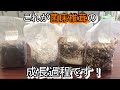 椎茸の菌床ブロックについて話す動画　七会きのこセンター【Vol.36】
