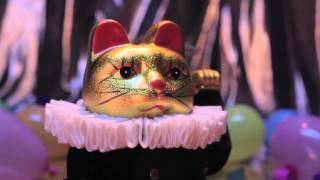 MIXTA - Gato Tuneado
