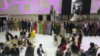 Kamran Harkî / کامران هرکی [ Live Music ] Shervan Pervani (6) Bandi 2023 Resimi