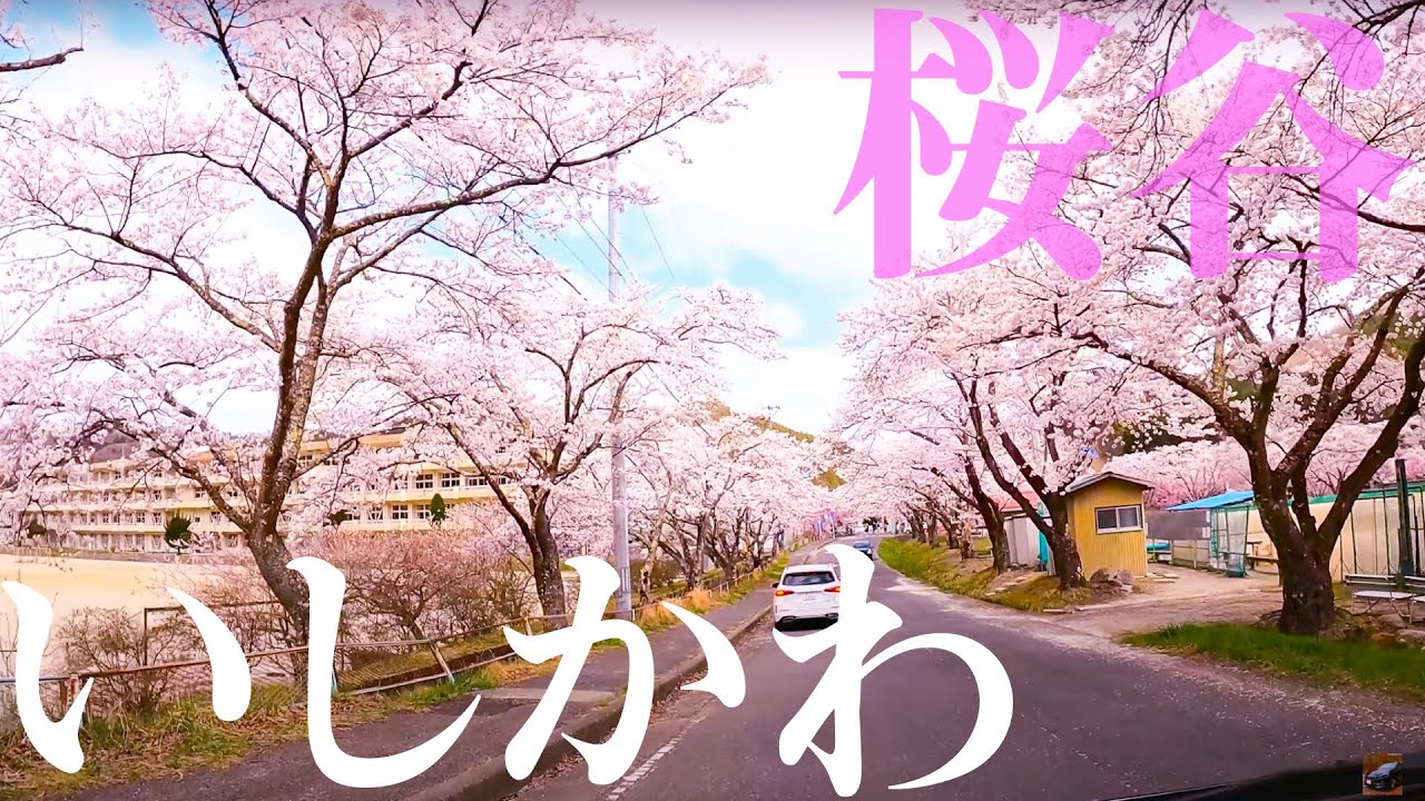 【車載動画】いしかわ桜谷 ぶらぶらドライブ 福島県石川町 4K 2021