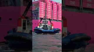 Container Ships earn this much per journey | #shorts #ship #containership