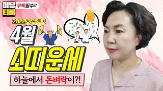 [보리암]2022년 임인년 소띠 4월 운세 (26세,38세,50세,62세,74세 운세) 소띠 4월 총운세