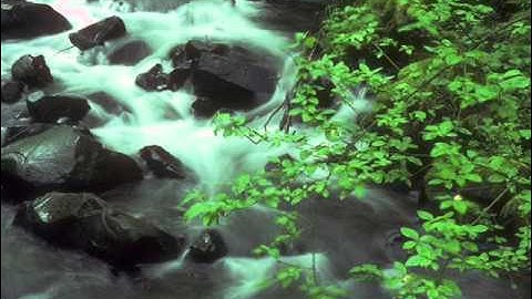 سورة يوسف / ماهر المعيقلي 2