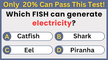 The impossible General Knowledge Quiz; Can you score over 90%? 🤔🧠 #challenge #gk #gkquiz #trivia