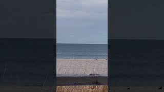 Surf Report Seaside Park Nj 12/7/20