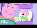 Peppa Pig George Catches A Cold