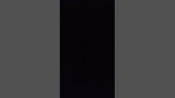 #رعد_الكردي #اجمل_تلاوات #أجمل_التلاوات #سعود_الشريم #اسلام_صبحي #محمود_خليل_الحصري #سورة_الضحى